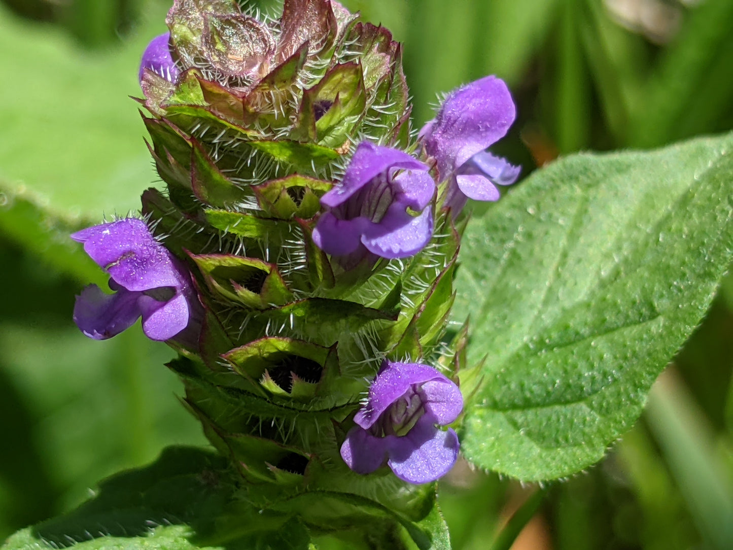 Selfheal